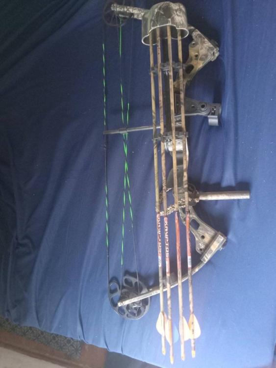 bow.jpg