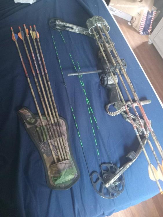 bow2.jpg